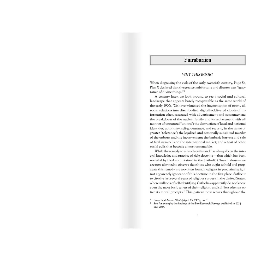 Papal Guidance on Teaching the Faith: 12 Timeless Documents on the Preservation of Doctrine - Image 5