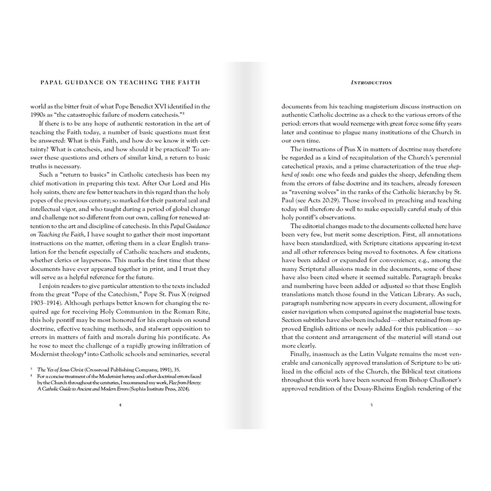 Papal Guidance on Teaching the Faith: 12 Timeless Documents on the Preservation of Doctrine - Image 6