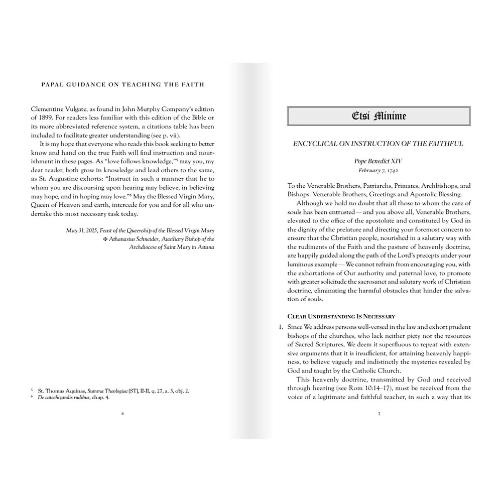 Papal Guidance on Teaching the Faith: 12 Timeless Documents on the Preservation of Doctrine - Image 7