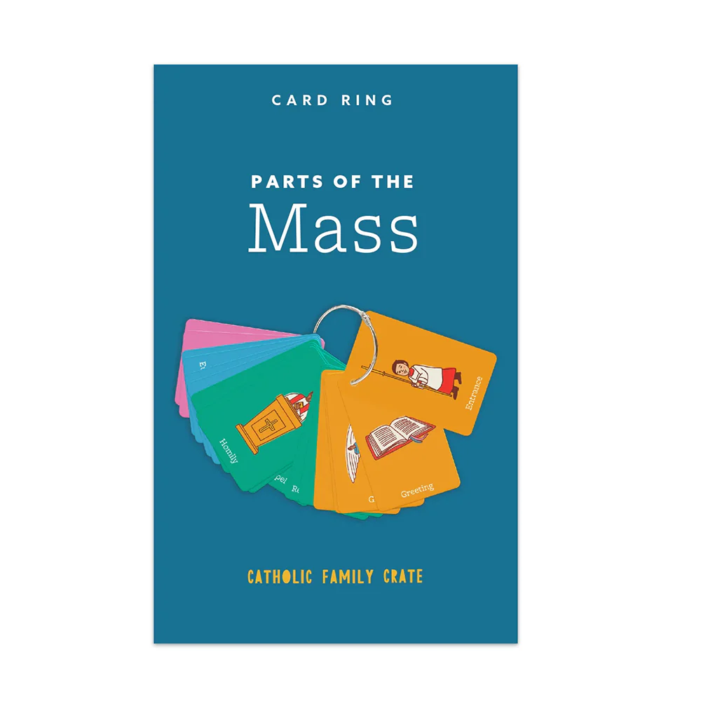Parts of the Mass Flip Card Ring - Image 3