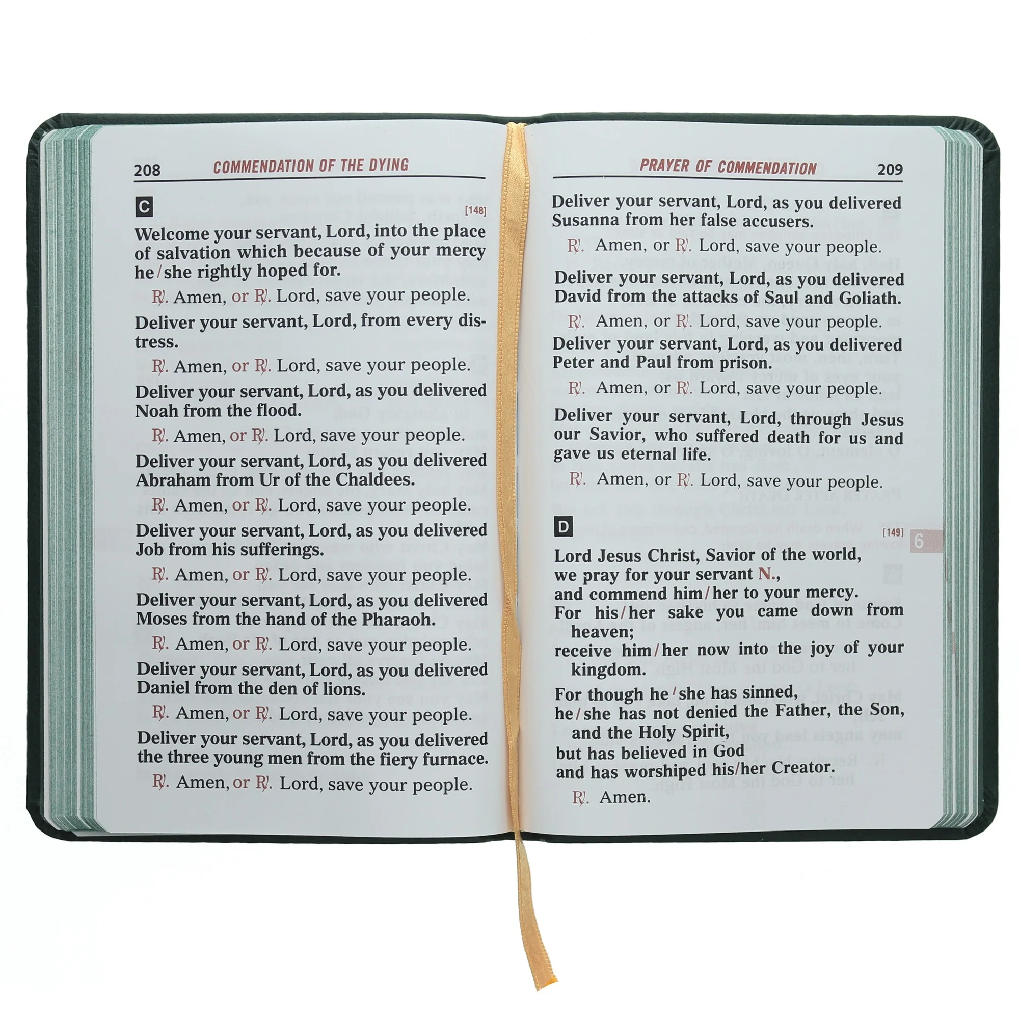 Pastoral Care of the Sick: Rites of Anointing and Viaticum - Image 2