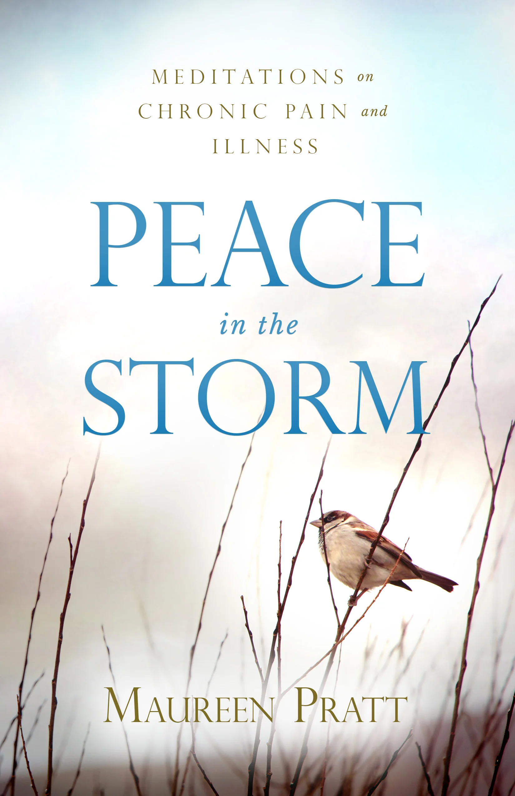 Peace in the Storm: Meditations on Chronic Pain and Illness