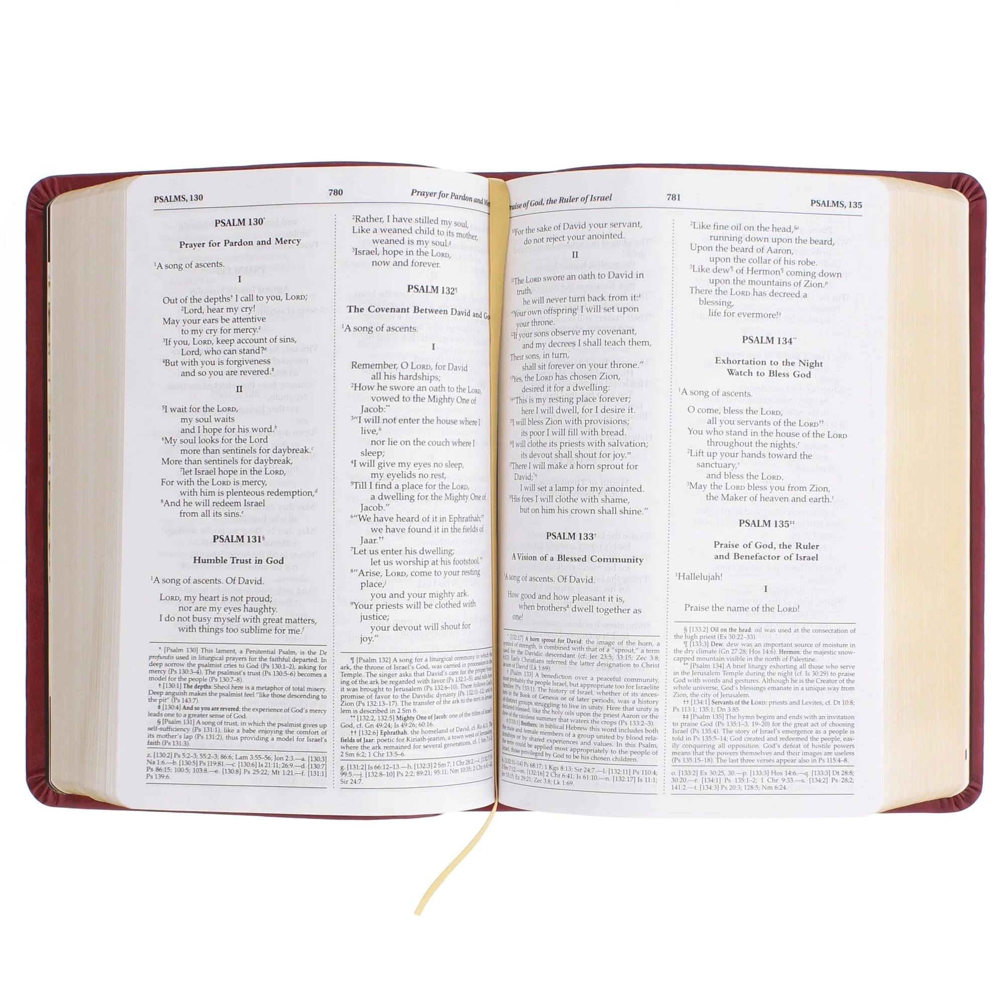 Personalized IHS Bible - Image 2
