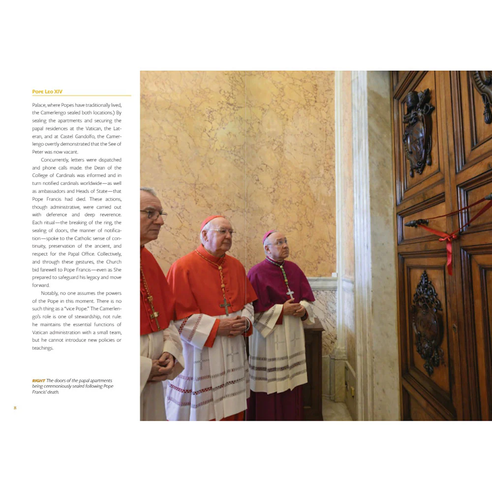 Pope Leo XIV: The Election of a Pope in Pictures - Image 5
