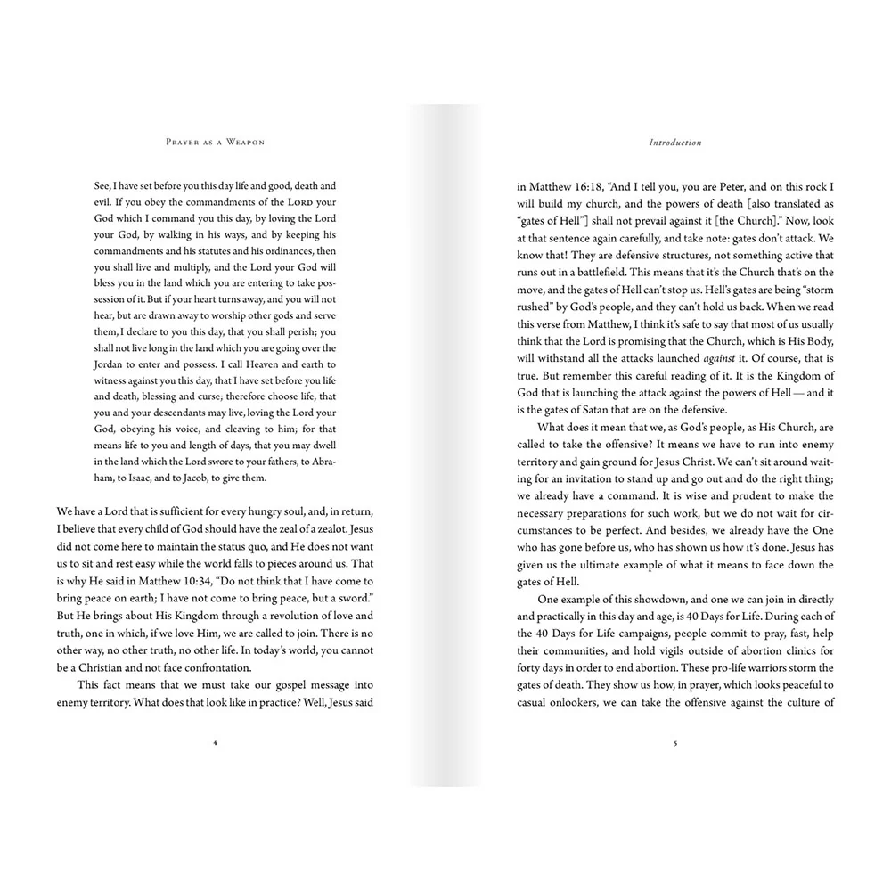 Prayer as a Weapon: How to Go on the Spiritual Offensive - Image 6