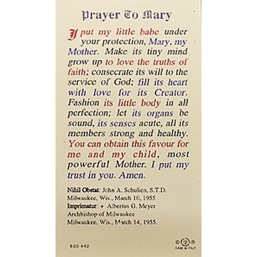 Prayer to Mary - Madonna of the Street - Prayer Card - Image 2