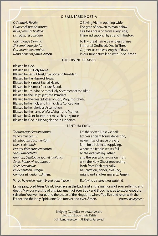 Prayers for Eucharistic Revival Large Folded Prayer Card - Multiple Quantities - Image 3