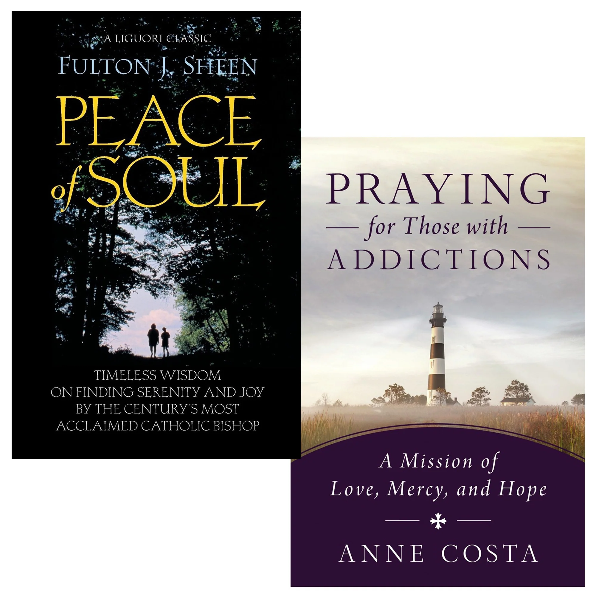 Praying For Those With Addictions & Peace of Soul (2 Book Set)