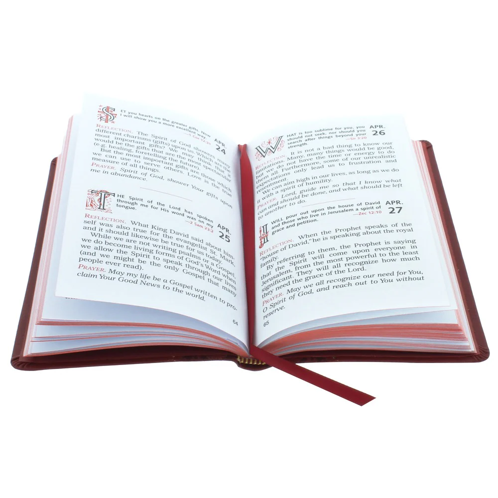 Red & White Carnelian Holy Spirit Chaplet & Daily Meditations With the Holy Spirit Book (Gift Set) - Image 5