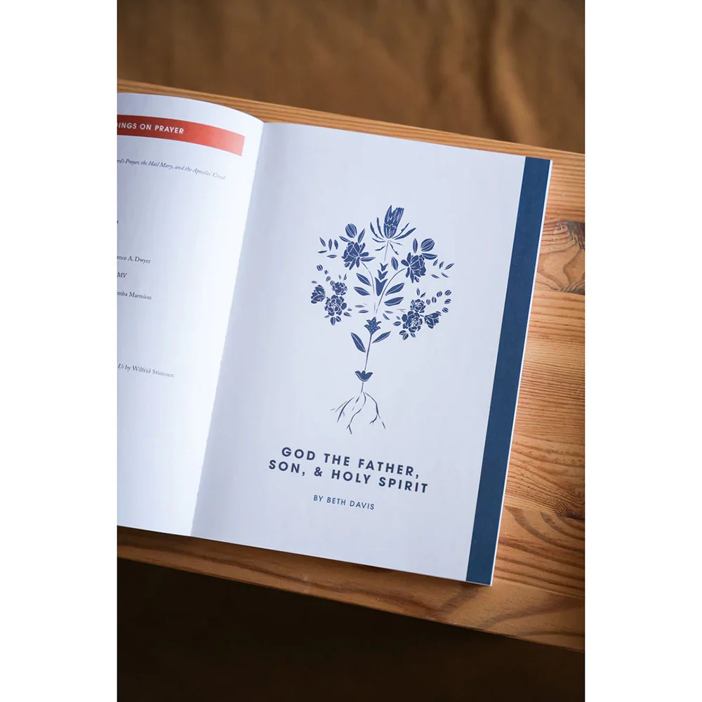 Rooted: A Study on The Catechism (Blessed Conversations Series) - Image 2