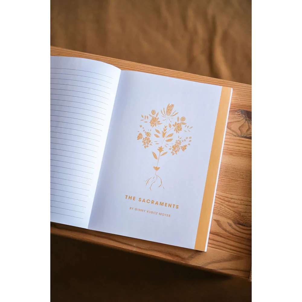 Rooted: A Study on The Catechism (Blessed Conversations Series) - Image 3