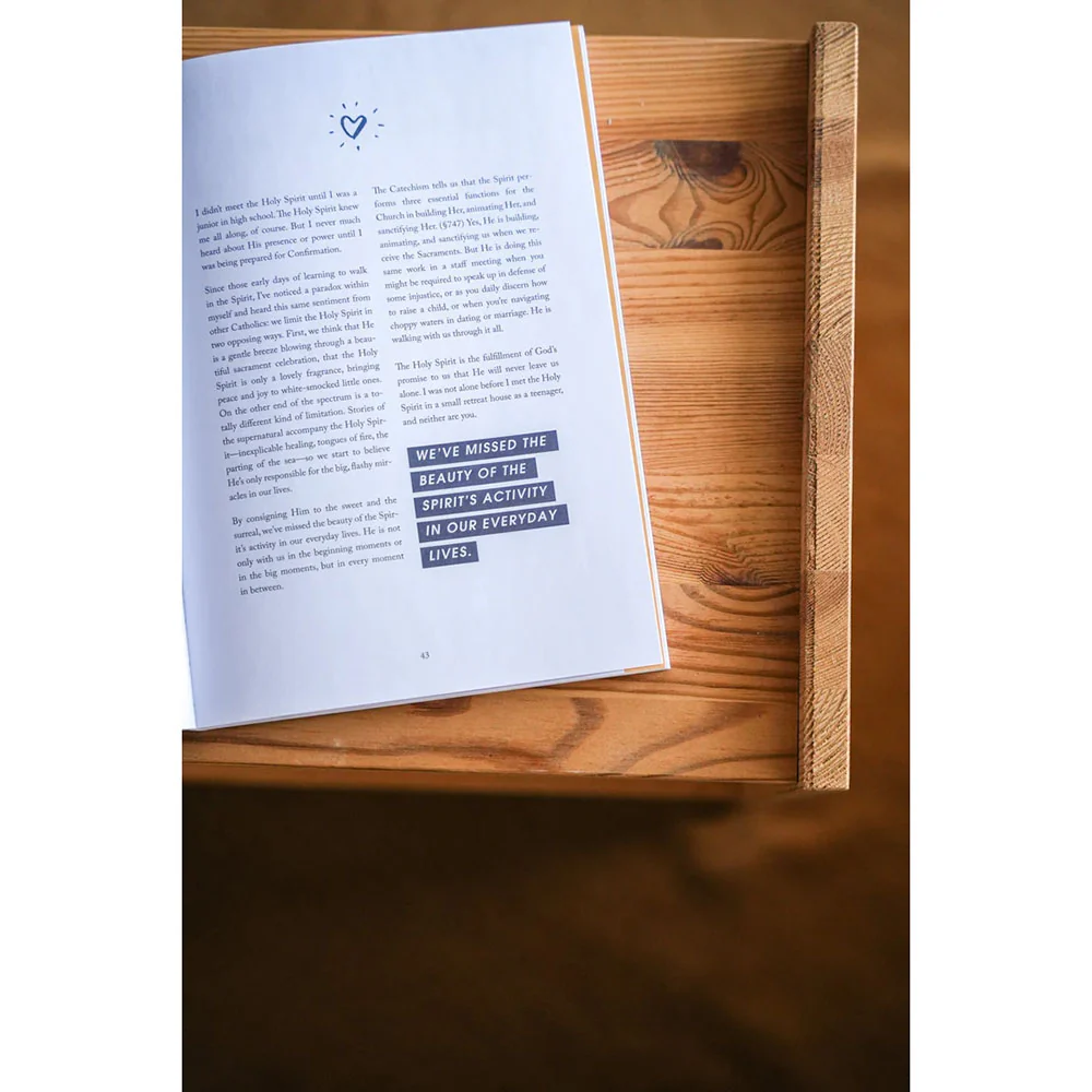 Rooted: A Study on The Catechism (Blessed Conversations Series) - Image 8