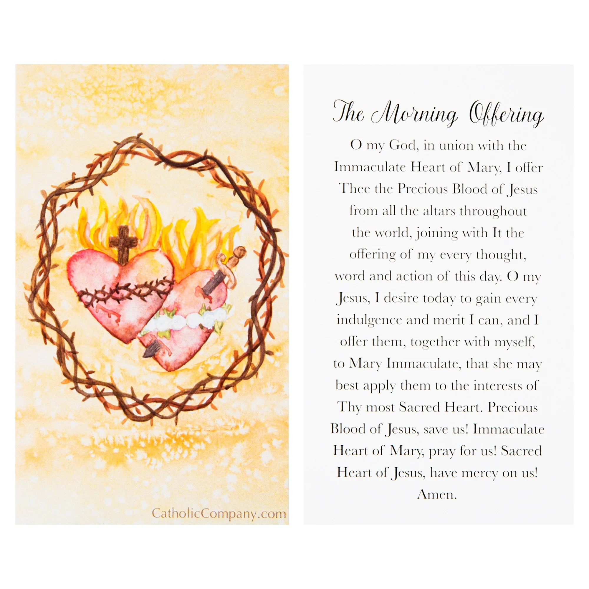 Sacred Heart of Jesus & Immaculate Heart of Mary Prayer Card - Image 2