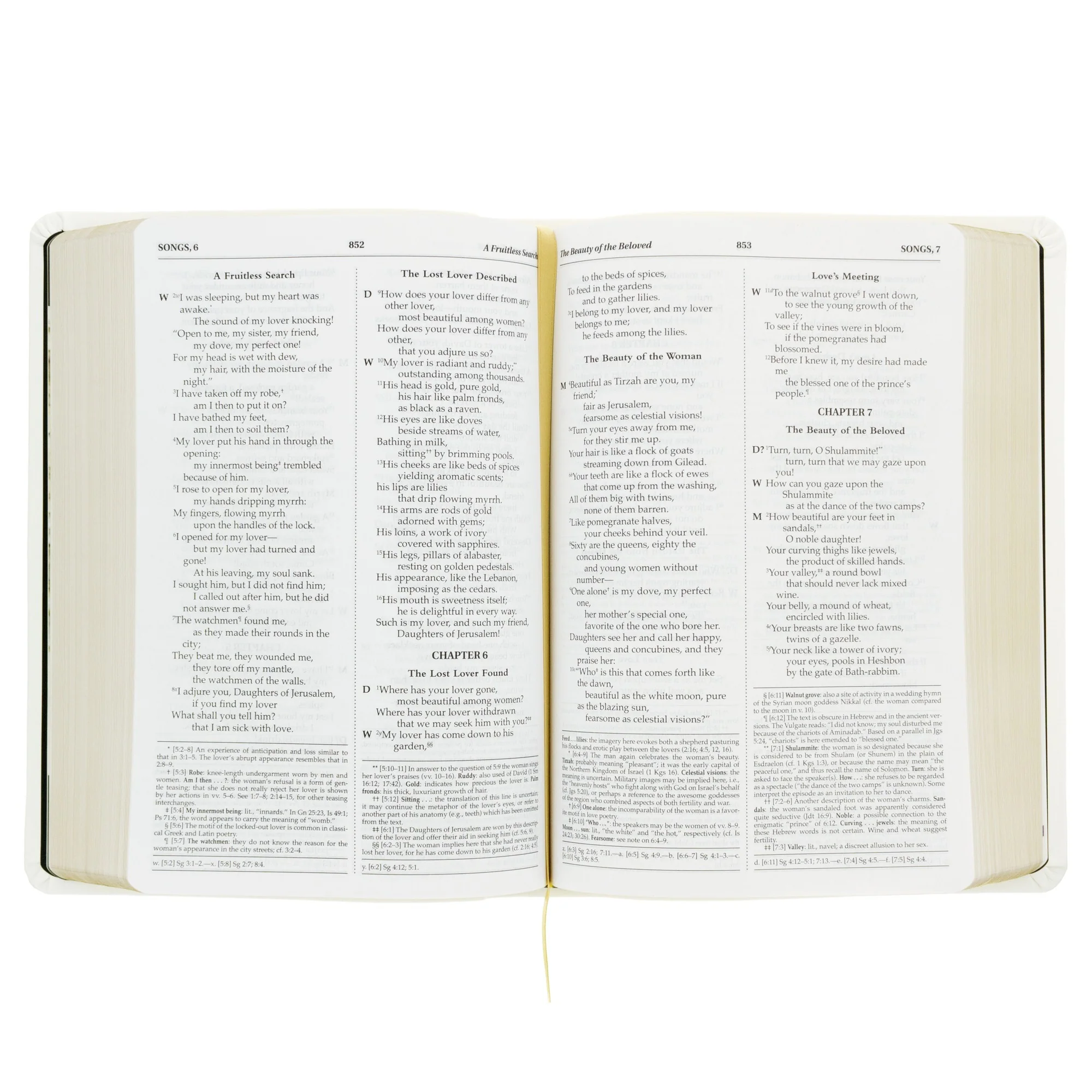 Saint Patrick Bible - Image 3