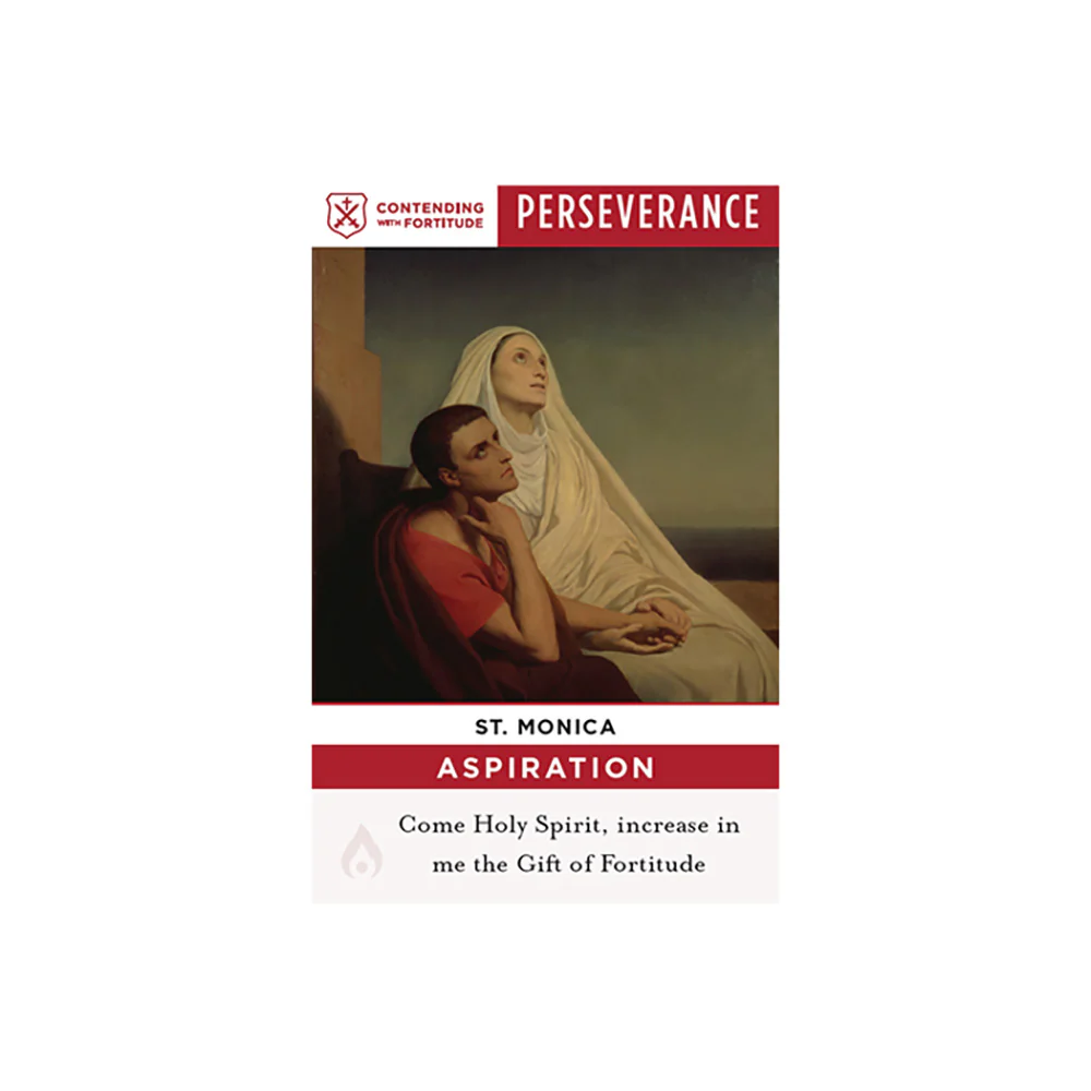 Saint Virtue Cards – Volume I or II - Image 6