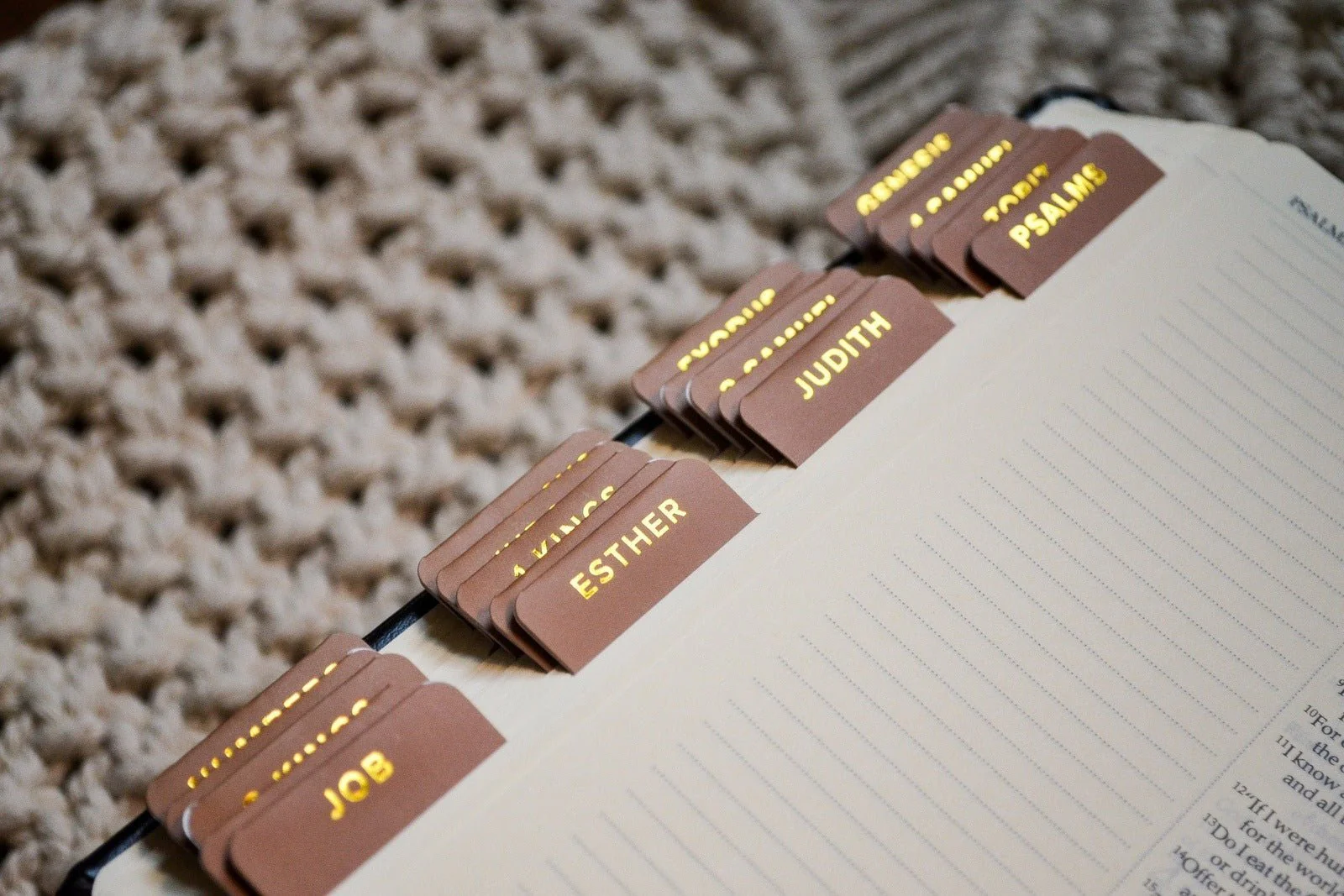 Salt of the Earth Catholic Bible Tabs - Image 9