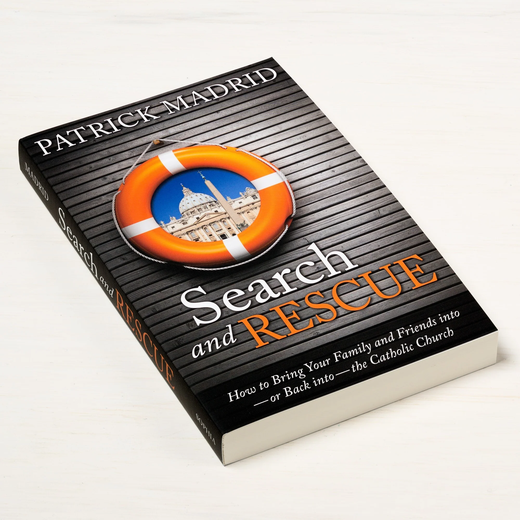 Search and Rescue: How to Bring Your Family and Friends Into—Or Back Into—The Catholic Church - Image 2