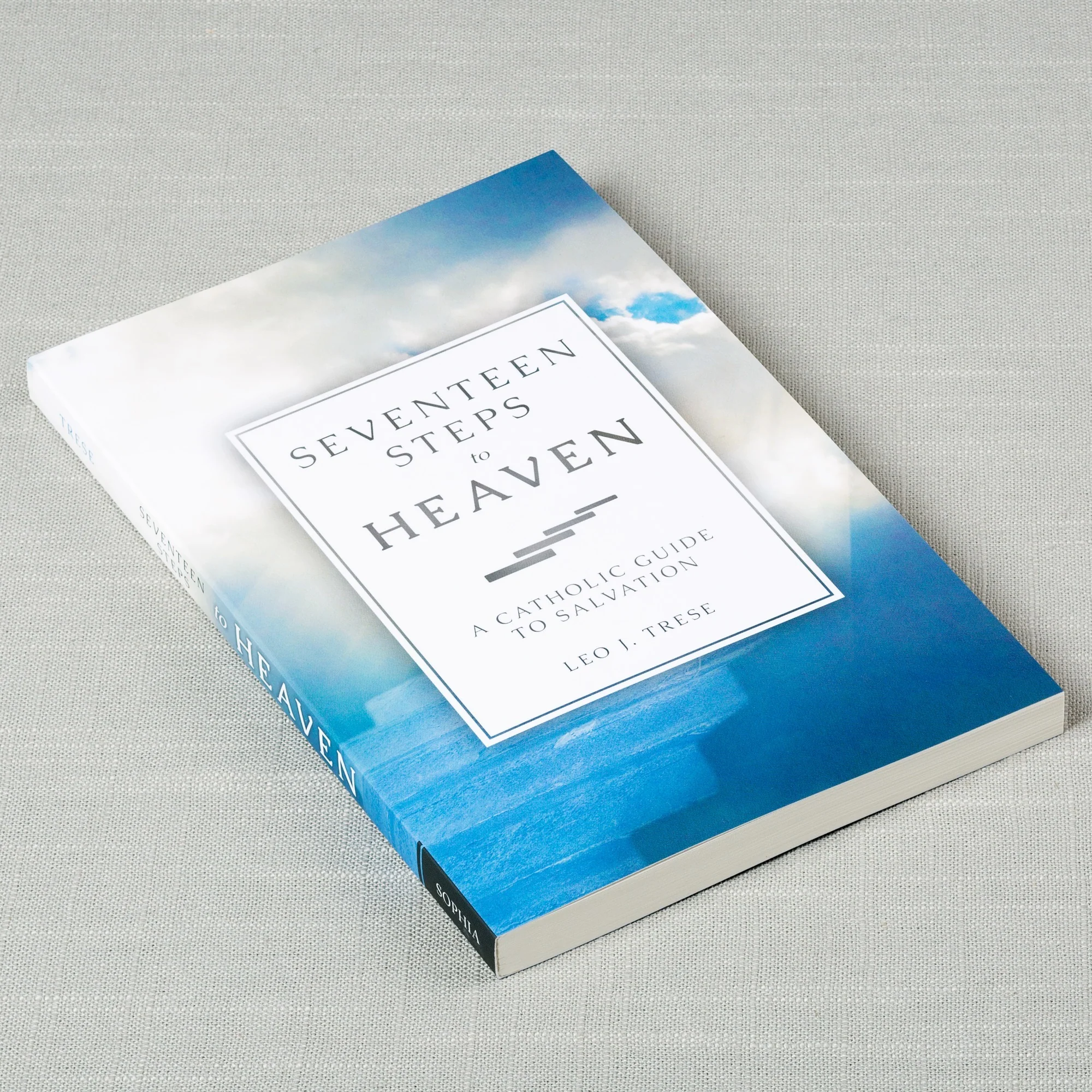 Seventeen Steps to Heaven: A Catholic Guide to Salvation - Image 2