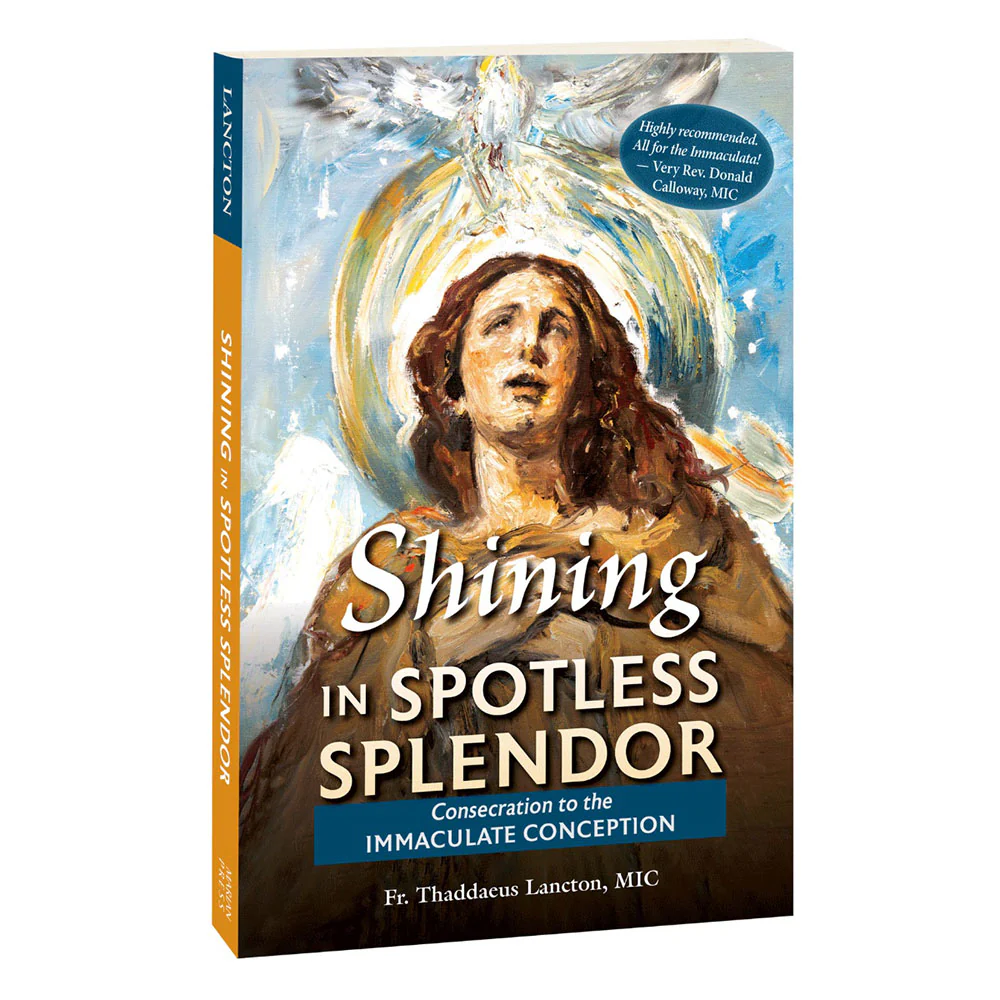 Shining in Spotless Splendor: Consecration to the Immaculate Conception