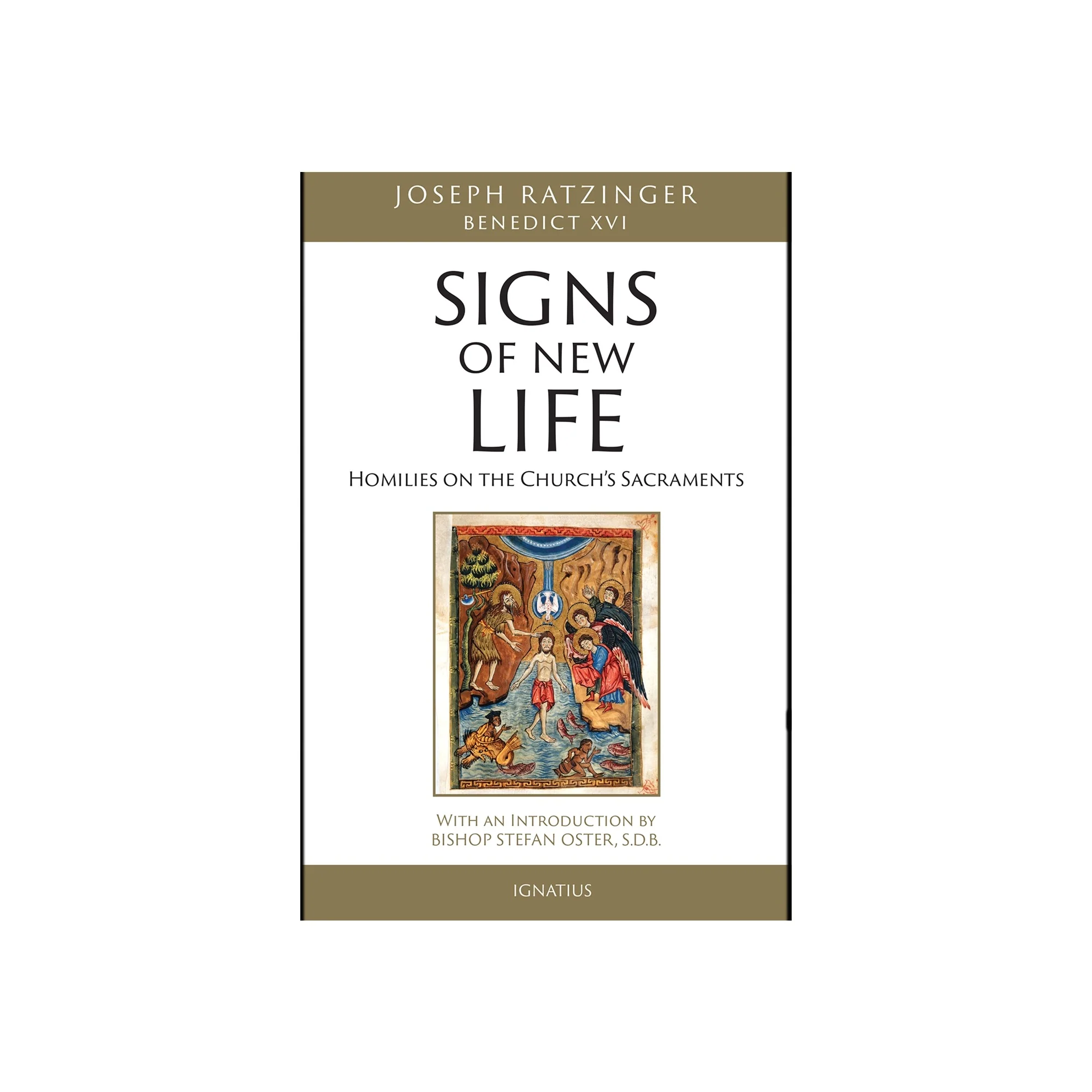 Signs Of New Life: Homilies on the Church's Sacraments