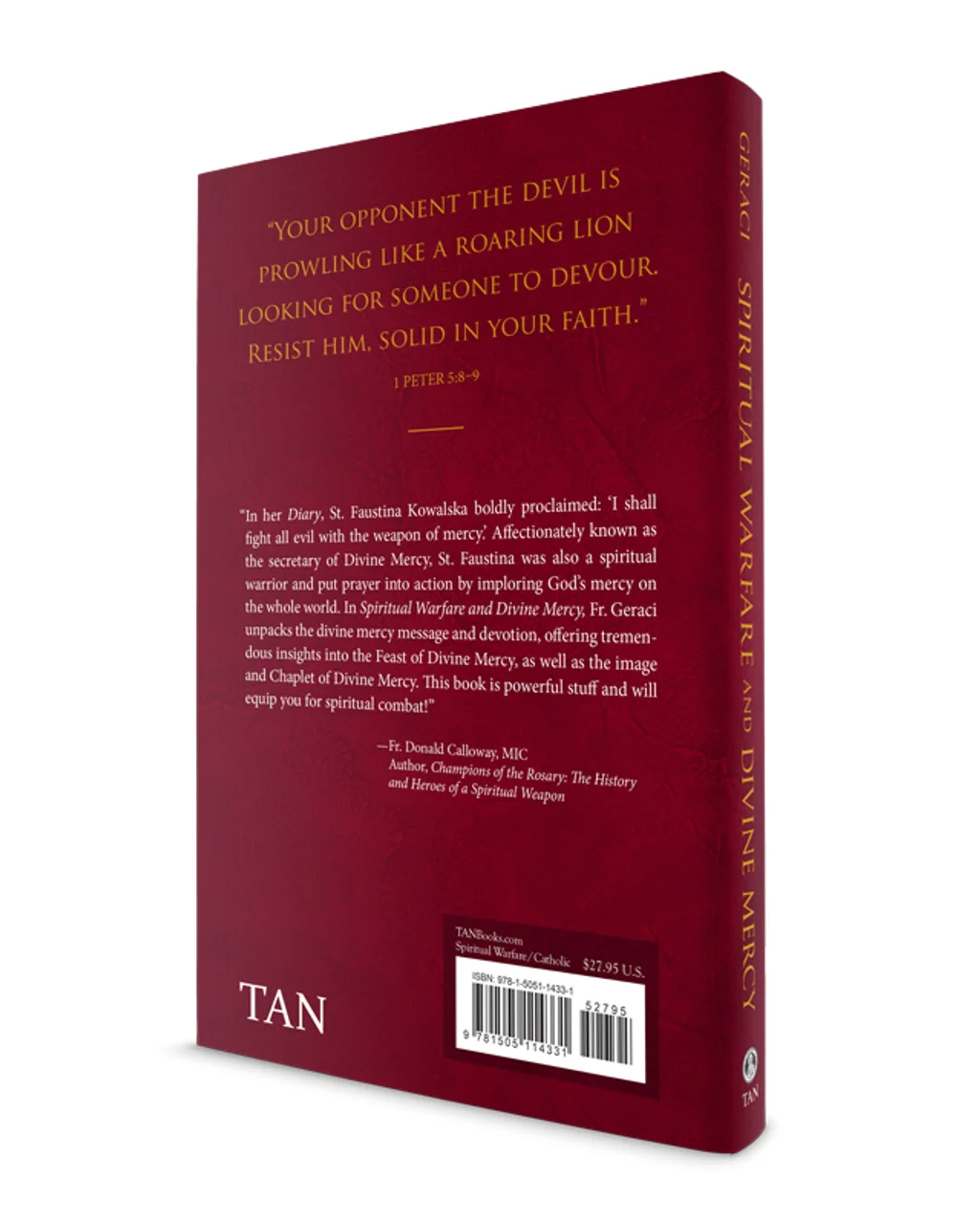 Spiritual Warfare and Divine Mercy: The Weapons for Our Times - Image 3
