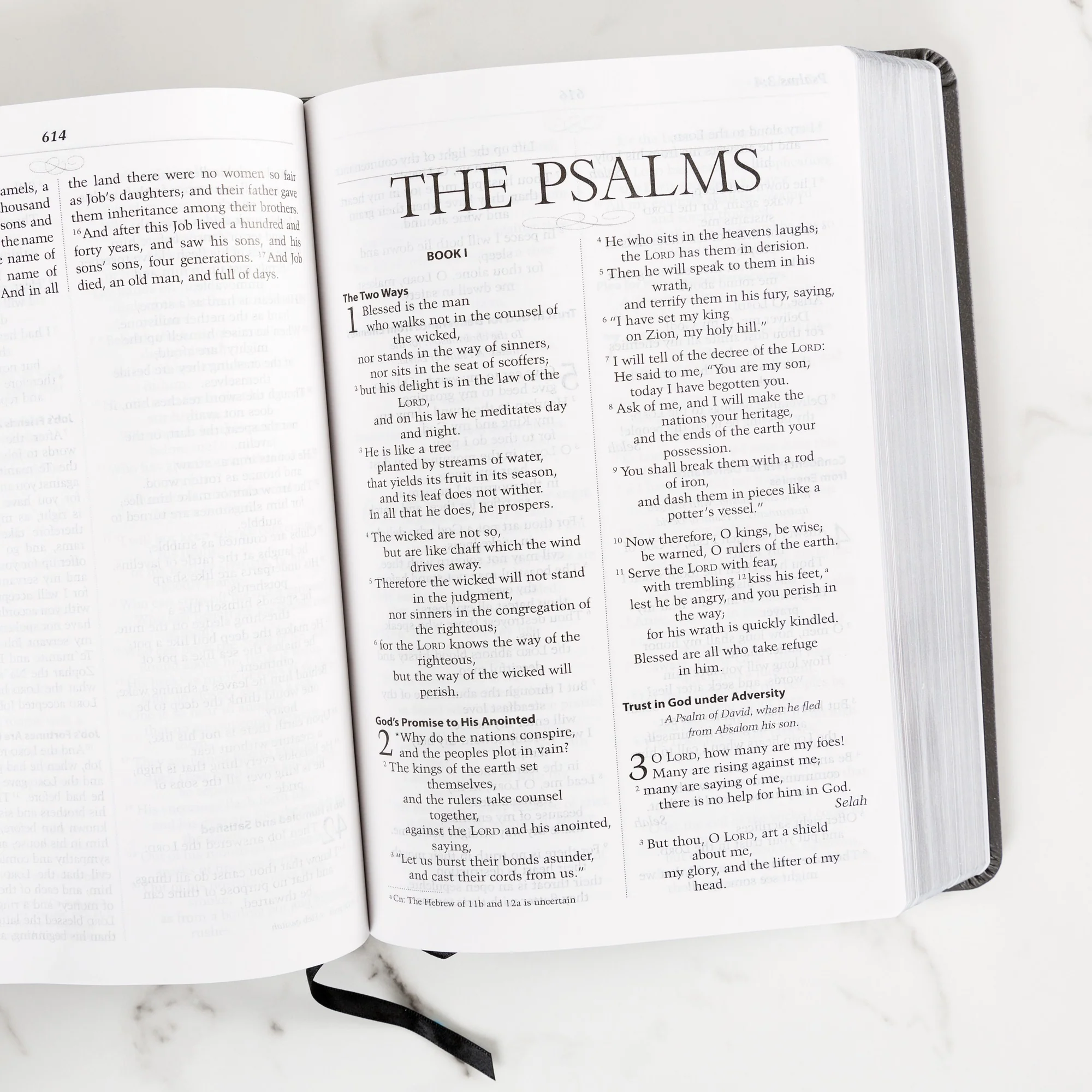 Spiritual Warfare Bible - Image 4