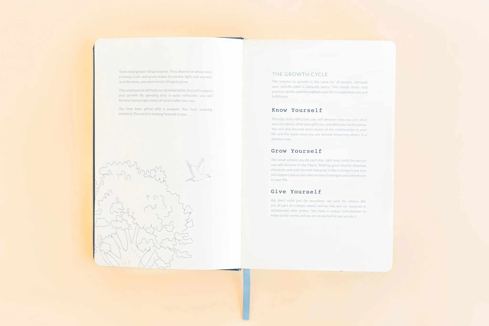Sprouts Journal For Kids - A 90-day Guided Journal - Image 4