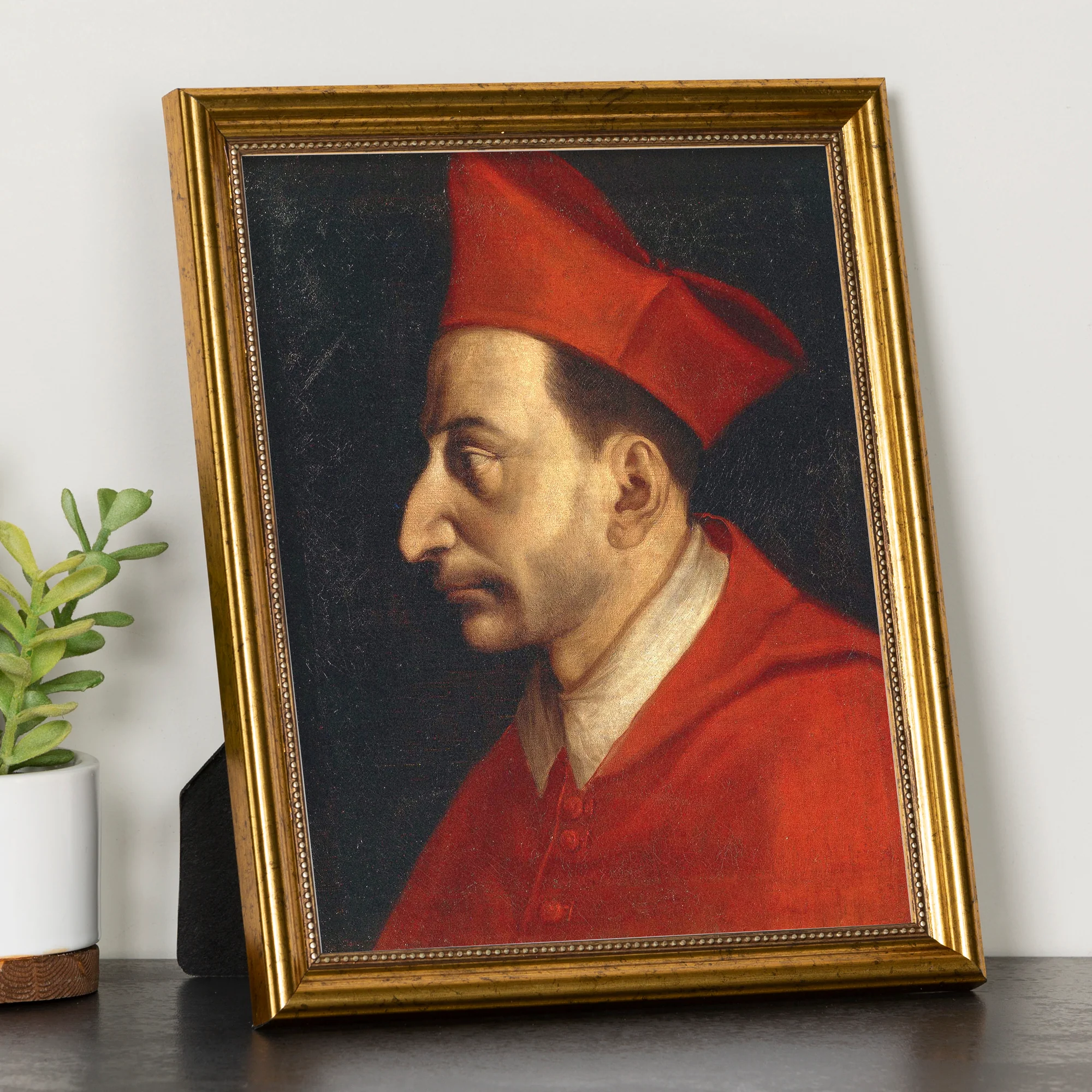 St Charles Borromeo Framed Print