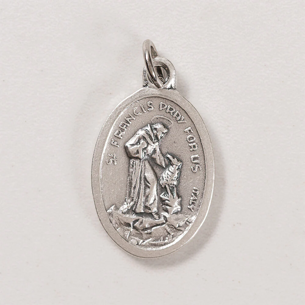 St. Francis Protect My Pet Medal