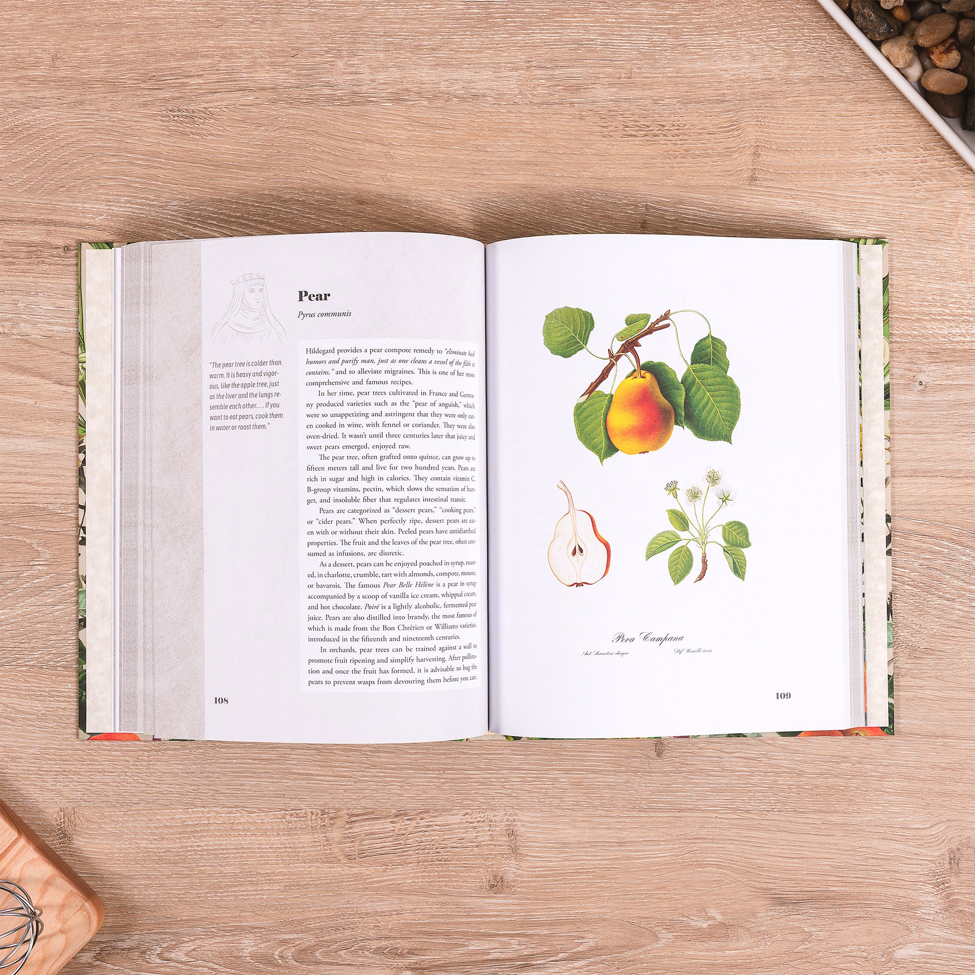 St. Hildegard's Garden: Recipes and Remedies for Healing Body and Soul - Image 2