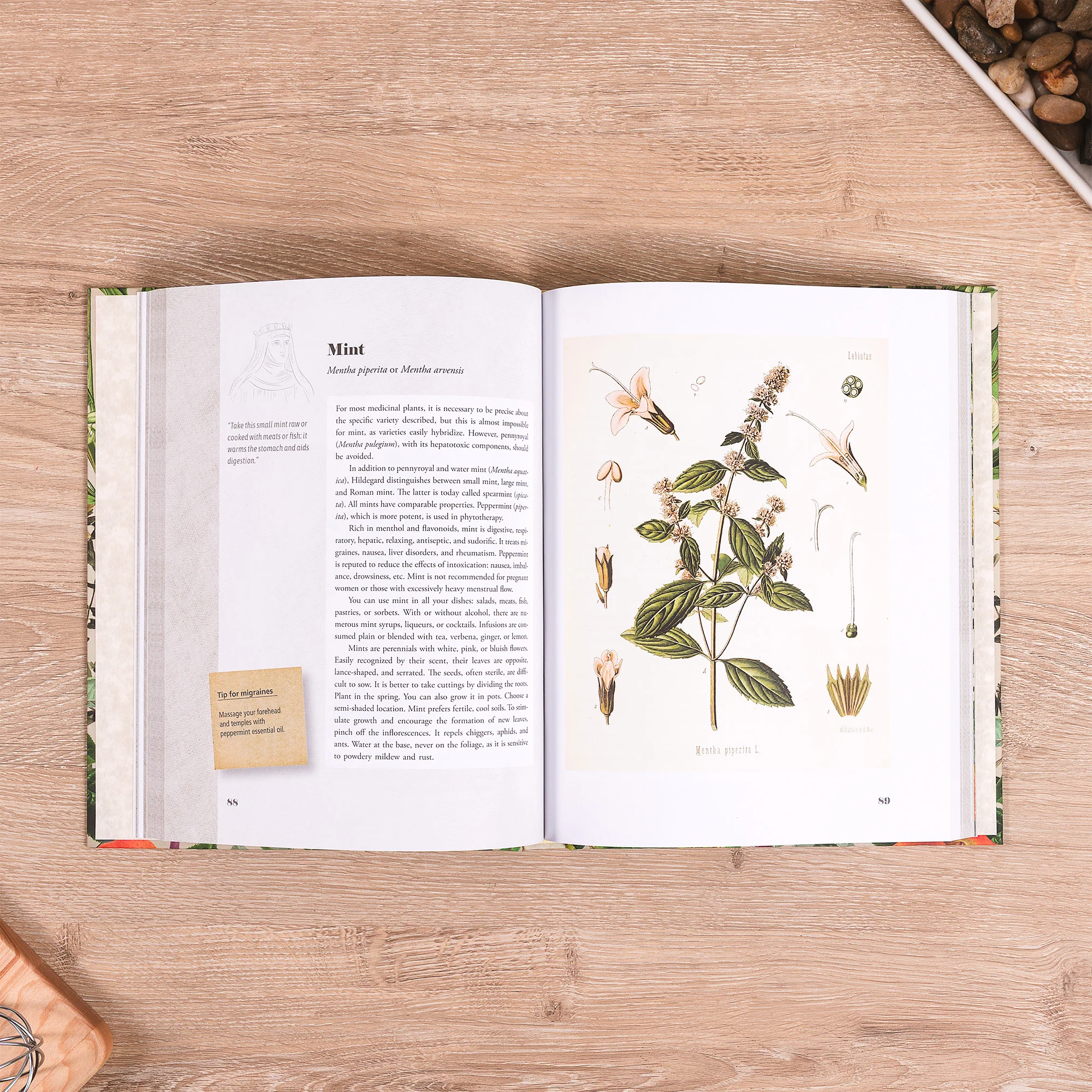 St. Hildegard's Garden: Recipes and Remedies for Healing Body and Soul - Image 3