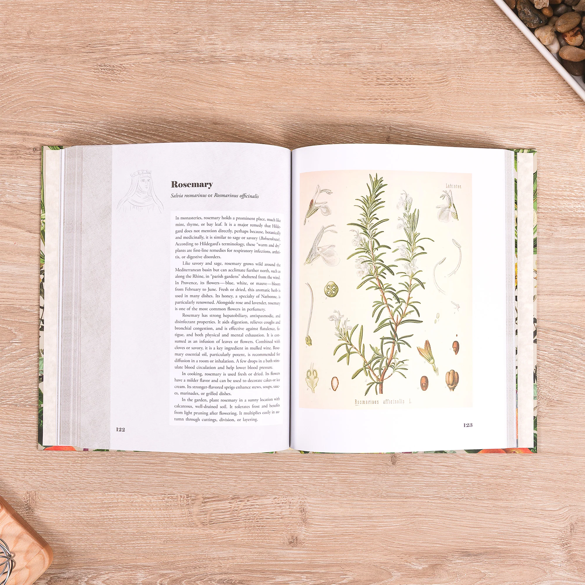 St. Hildegard's Garden: Recipes and Remedies for Healing Body and Soul - Image 4