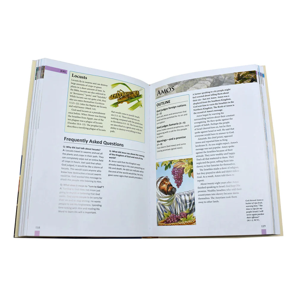 St. Joseph Bible Handbook - Image 5