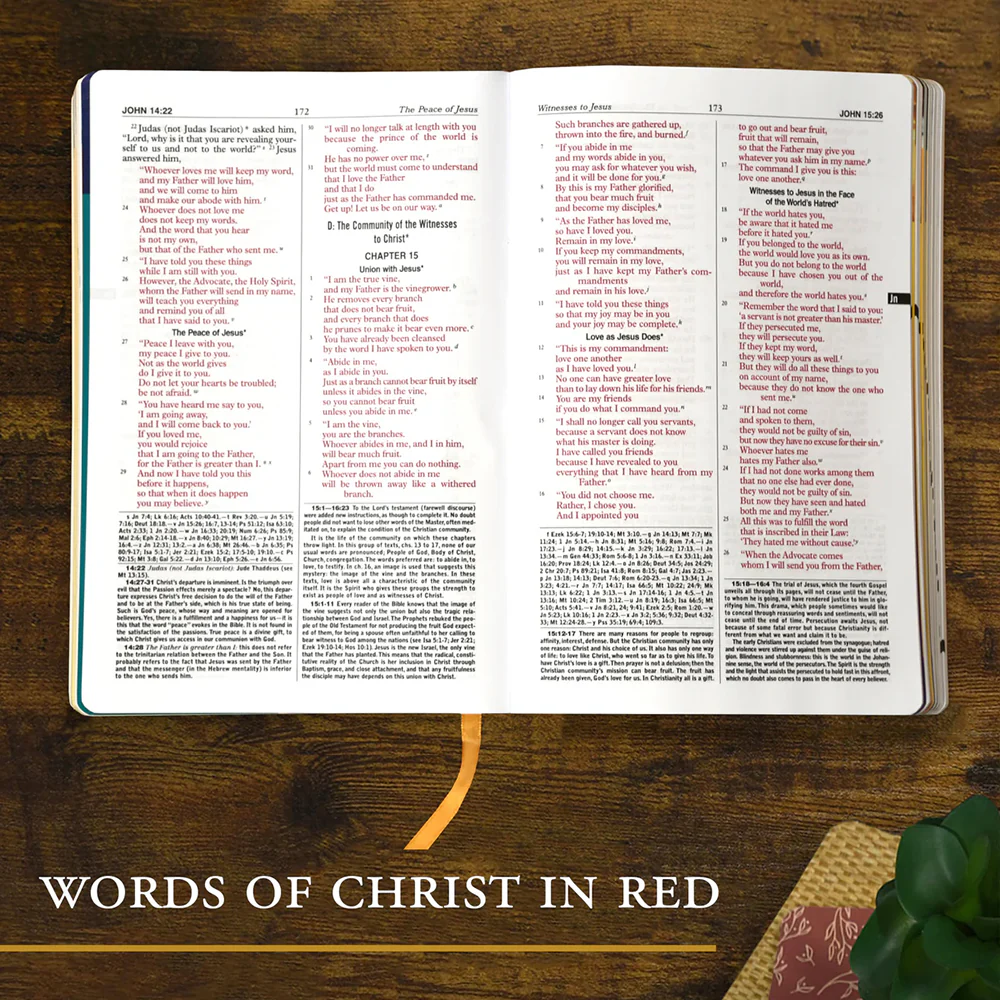 St. Joseph New Catholic Bible for Youth - Image 2