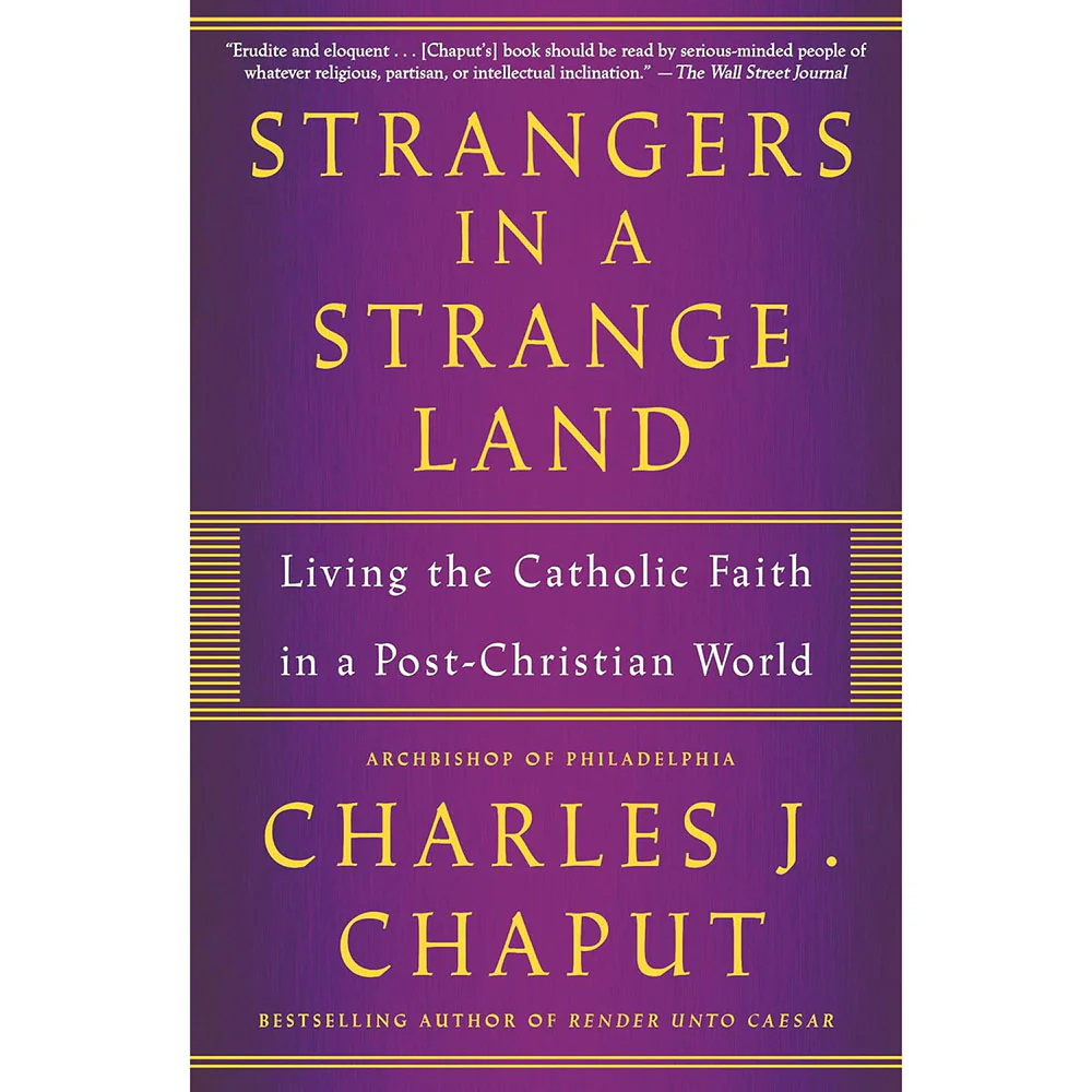 Strangers in a Strange Land: Living the Catholic Faith in a Post-Christian World - Image 2