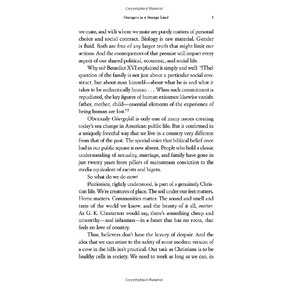 Strangers in a Strange Land: Living the Catholic Faith in a Post-Christian World - Image 8