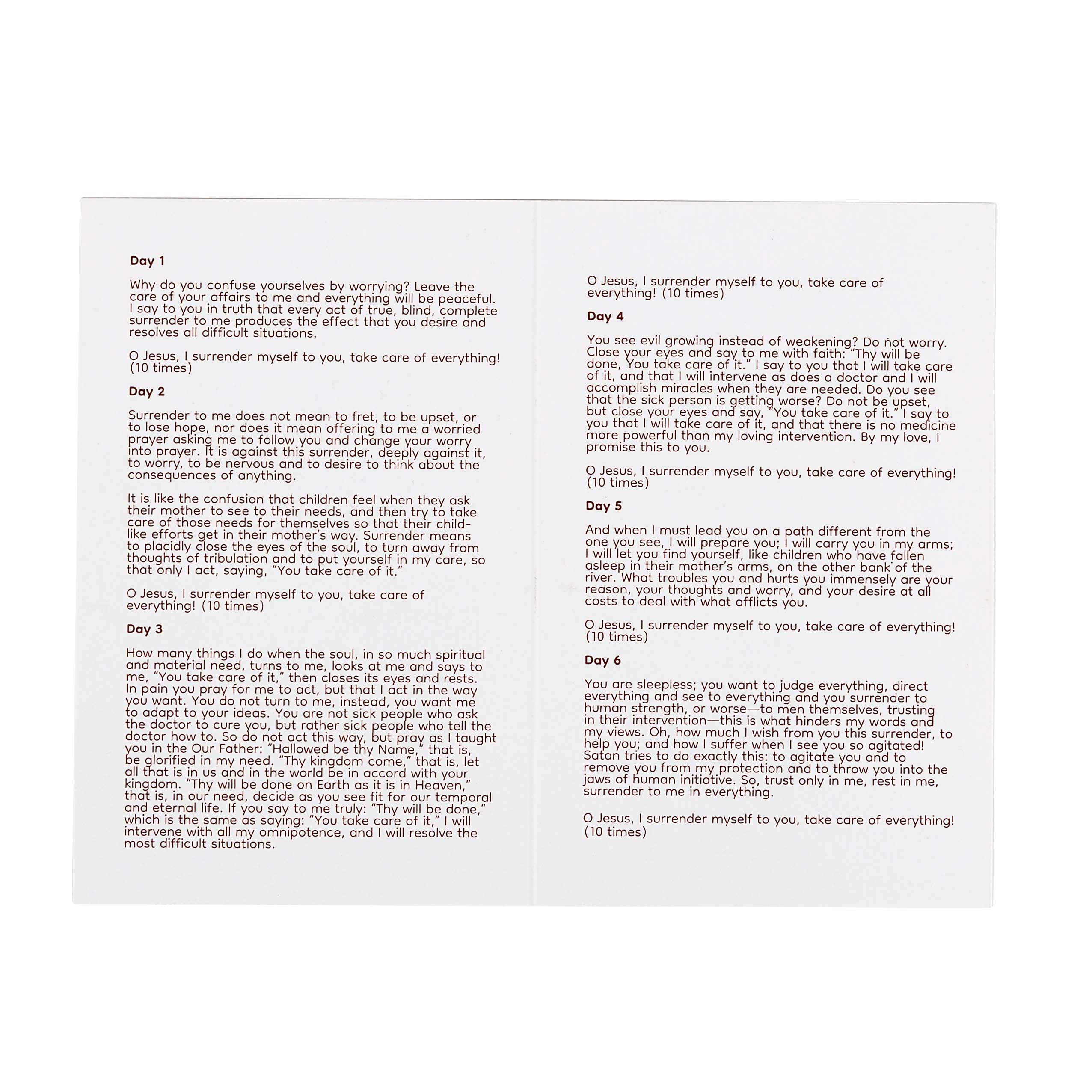 Surrender Novena Prayer Card - Image 5
