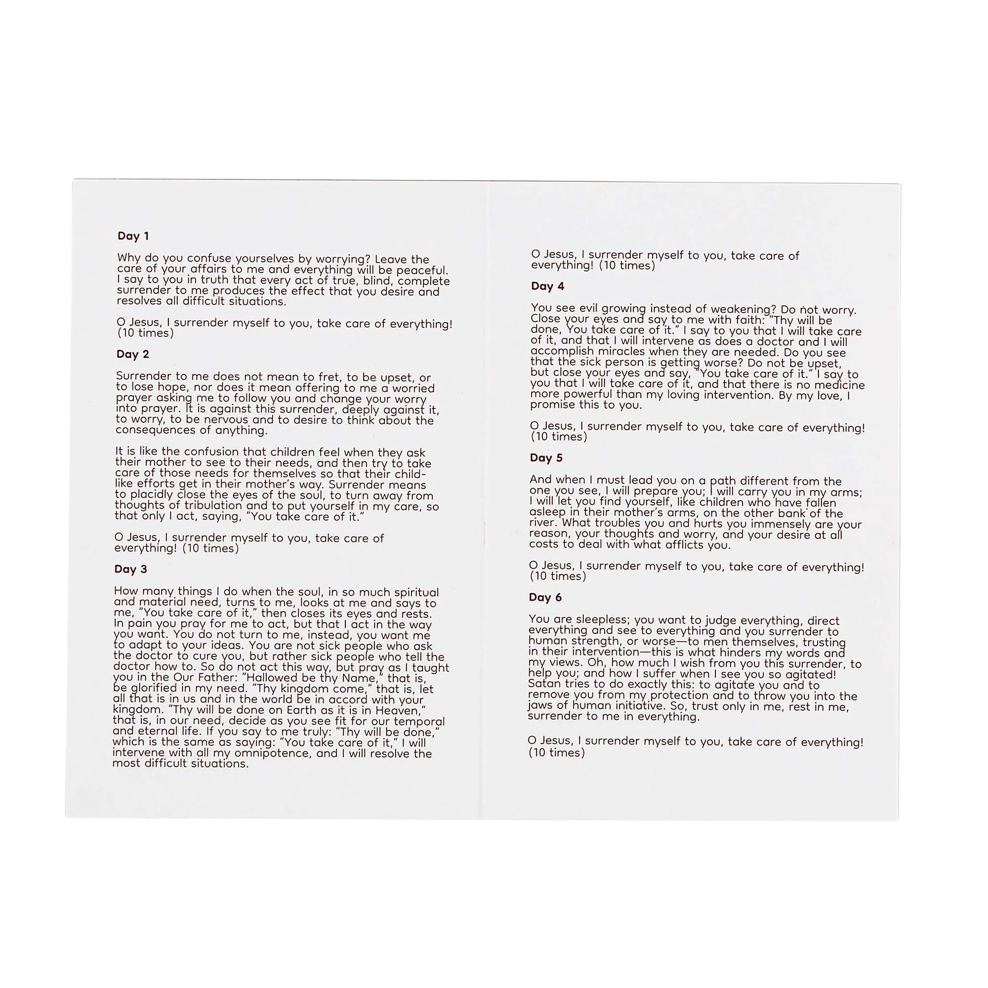 Surrender Novena Prayer Card - Image 6
