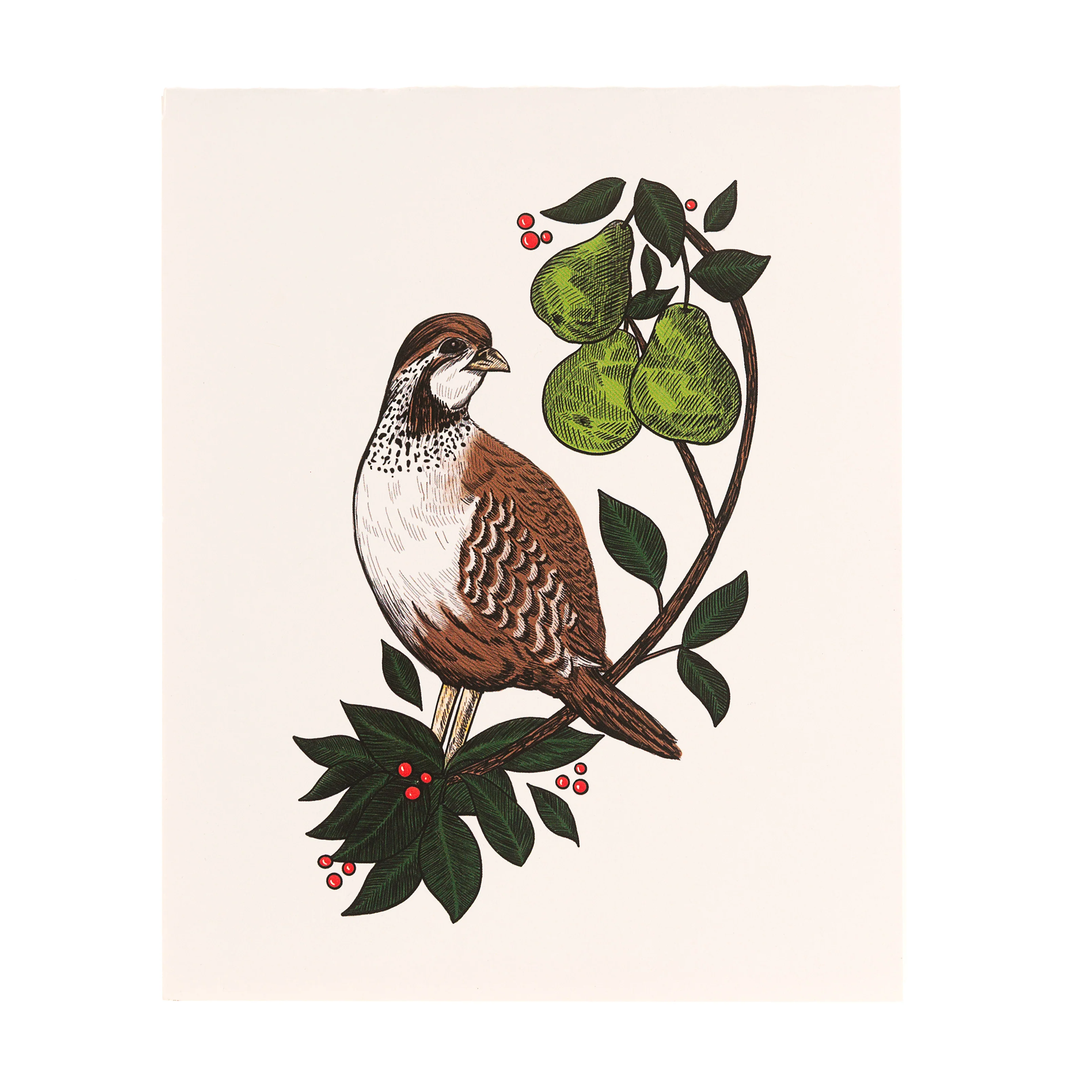 The 12 Days of Christmas Trifold Greeting Cards - Set of 12 - Image 5