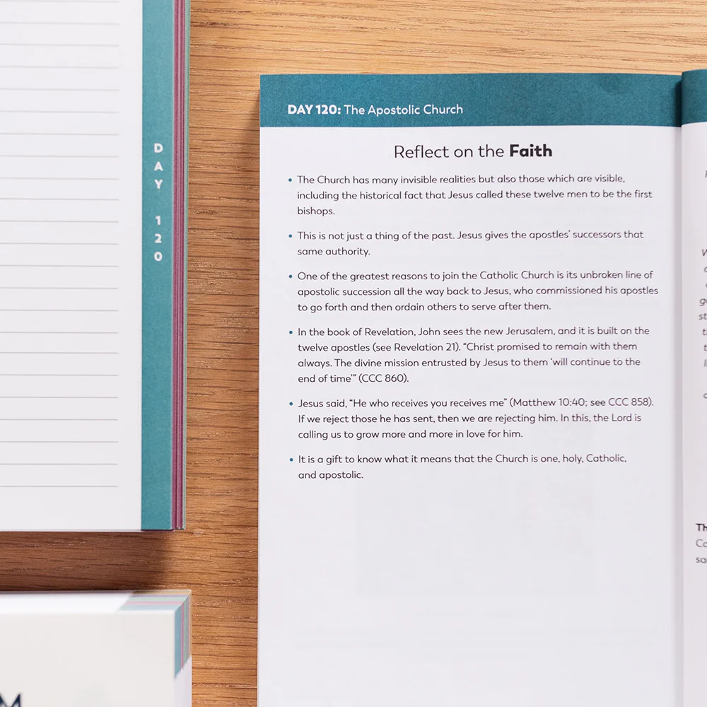 The Catechism in a Year Companion - Volume I or II - Image 11