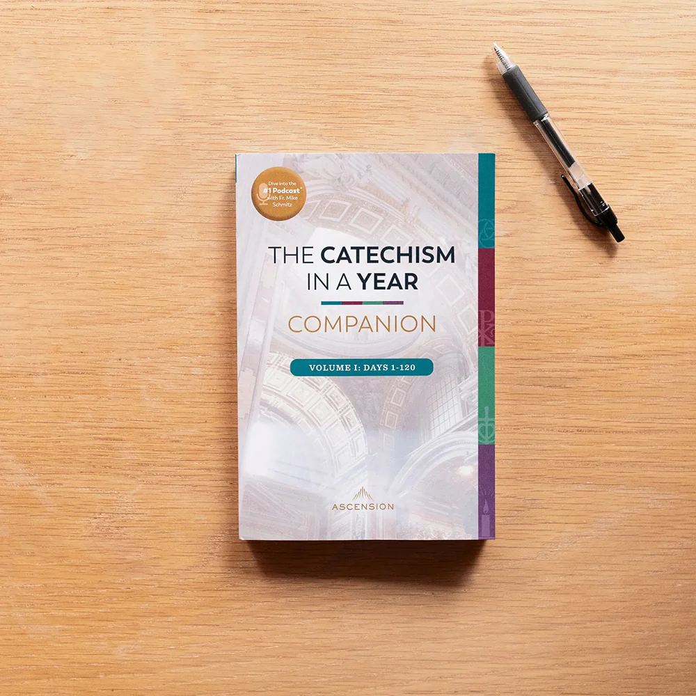 The Catechism in a Year Companion - Volume I or II - Image 12