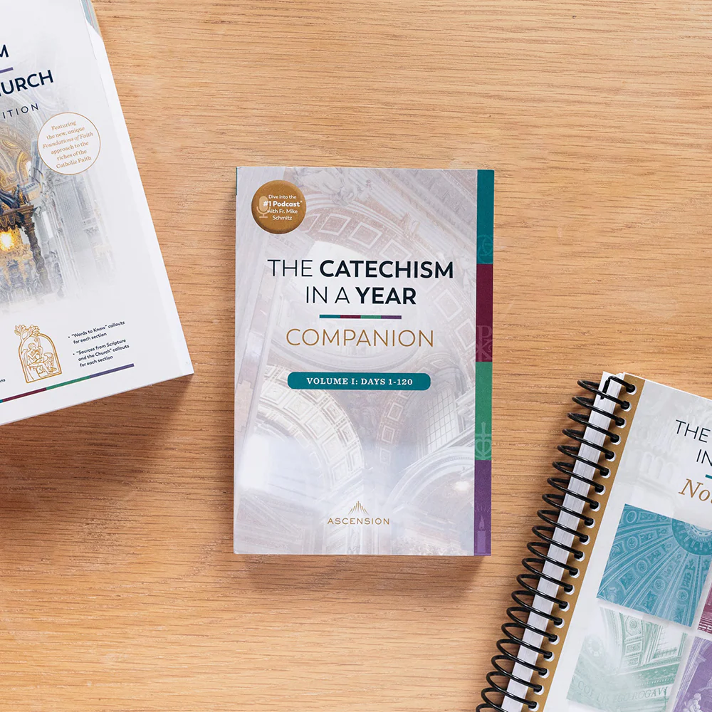 The Catechism in a Year Companion - Volume I or II - Image 3