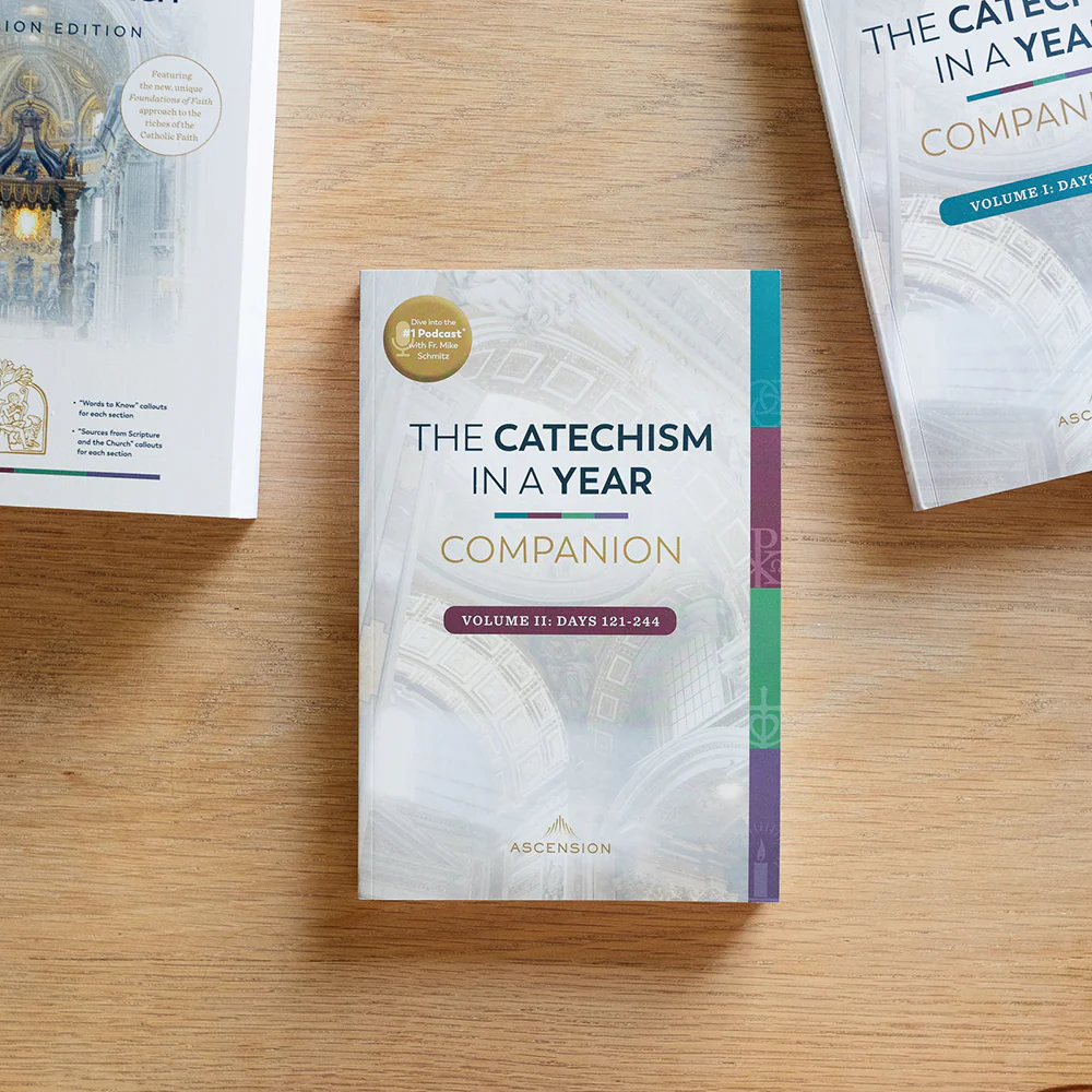 The Catechism in a Year Companion - Volume I or II - Image 7