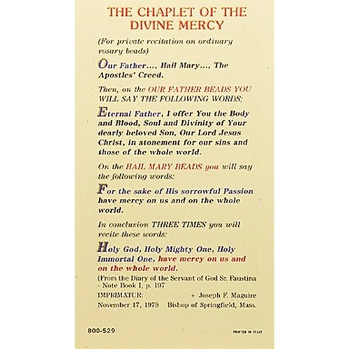 The Chaplet of the Divine Mercy Prayer Card - Image 3
