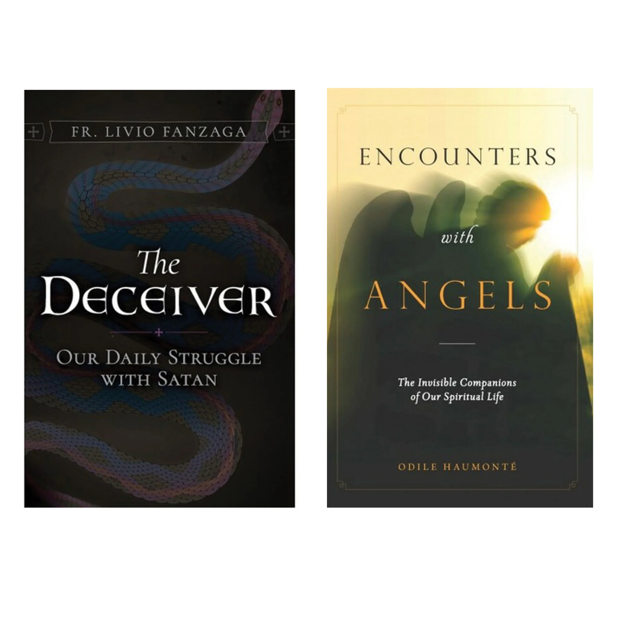 The Deceiver & Encounters with Angels (2 Book Set) - Image 2