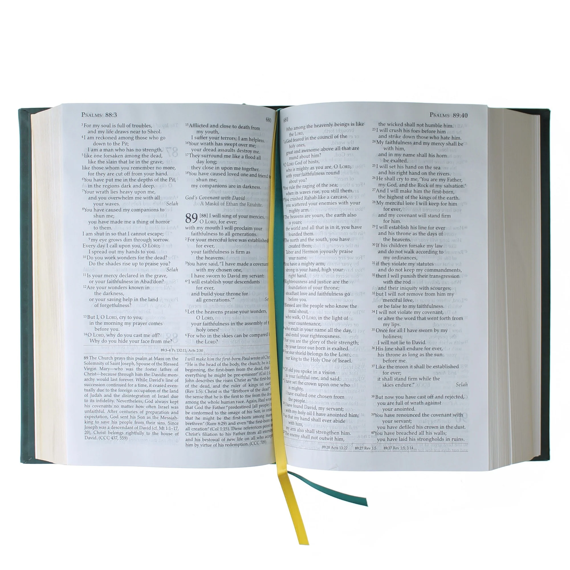 The Didache Bible (Padded Hardcover) - Image 2