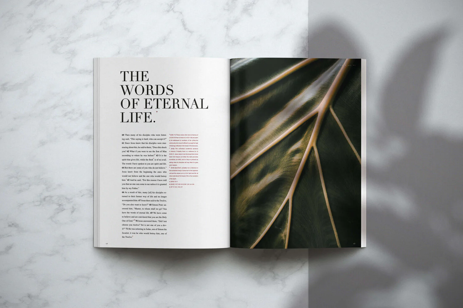 The Gospel of John (NABRE) - Contemplative Kindred Bible - Image 4