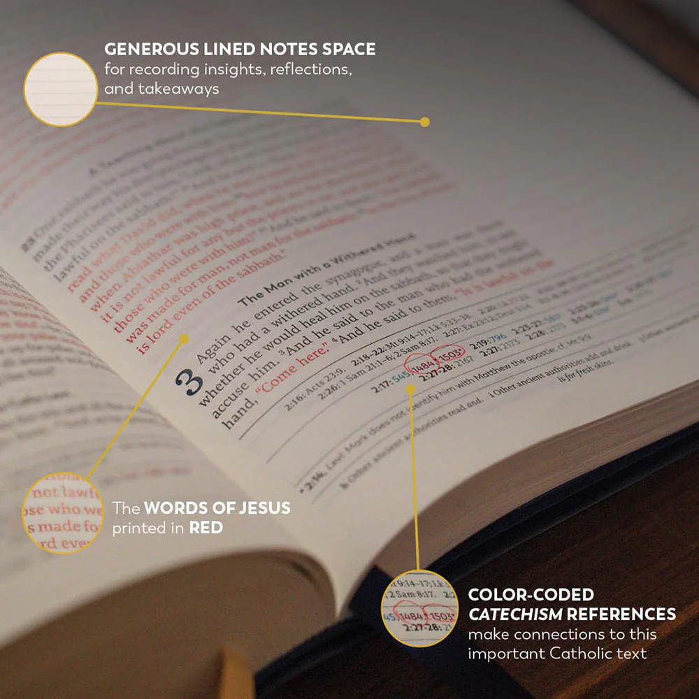 The Great Adventure Bible - Notetaking Edition - Image 6