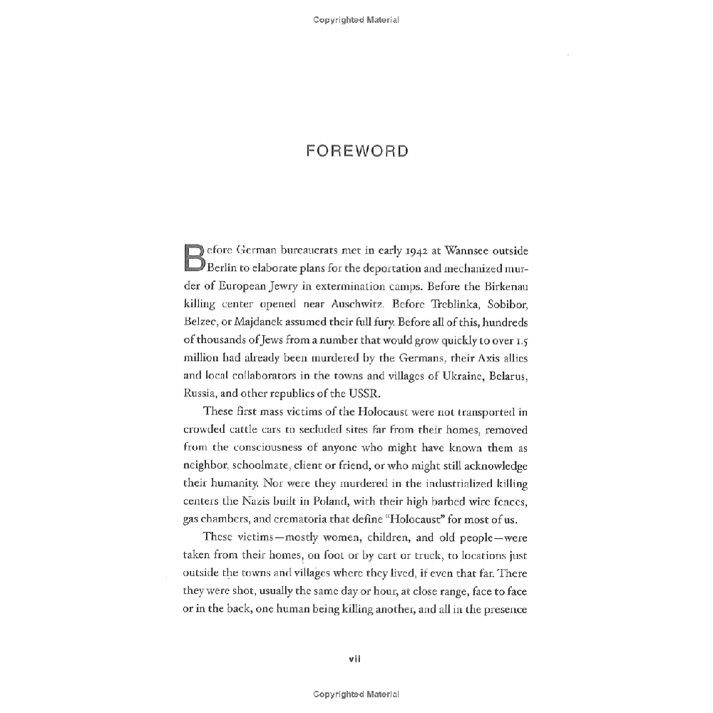 The Holocaust by Bullets: A Priest's Journey to Uncover the Truth Behind the Murder of 1.5 Million Jews - Image 7