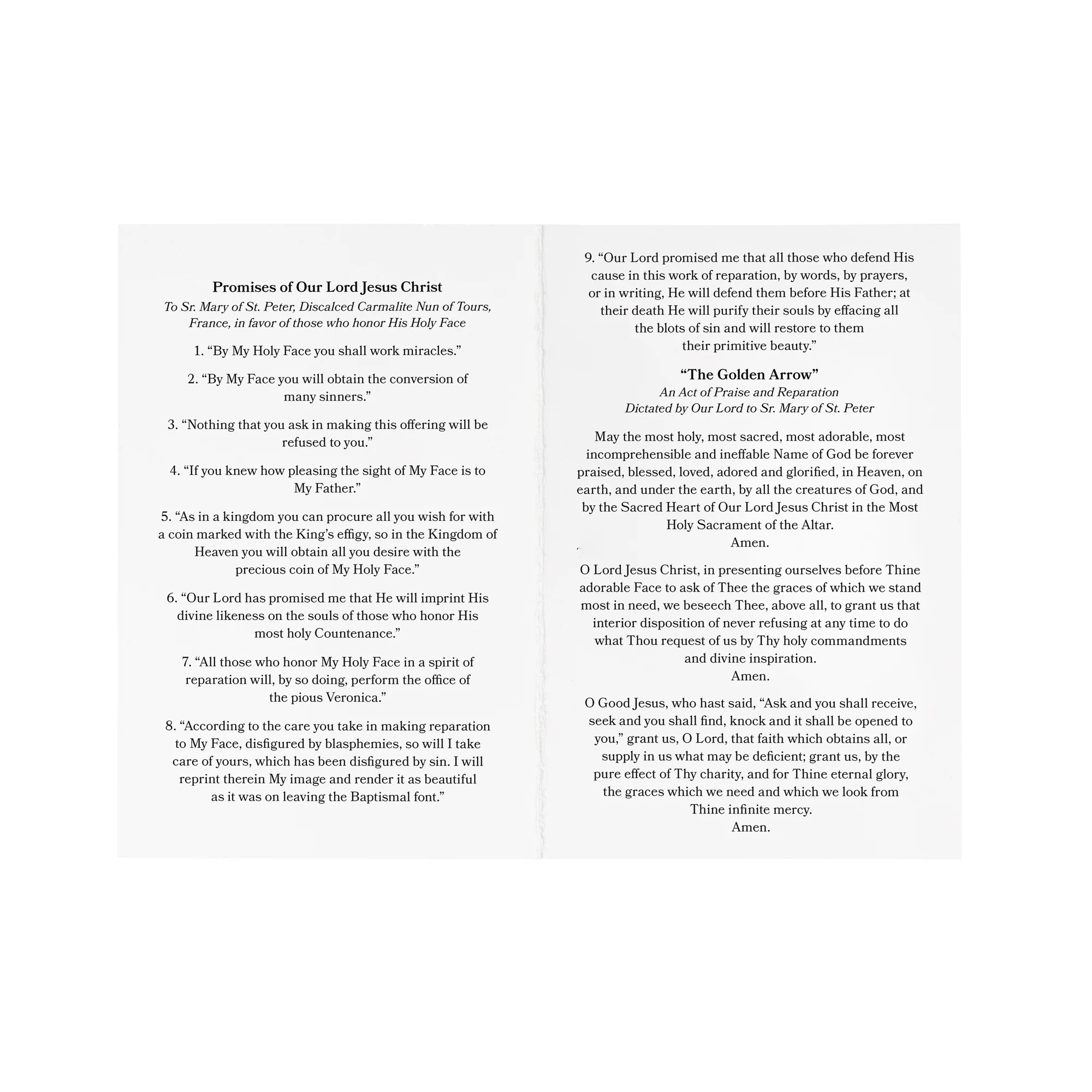 The Holy Face of Jesus Prayer Card - Pack of 50 - Image 4